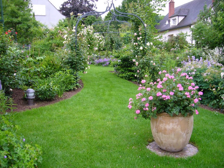 Comment nettoyer votre jardin
