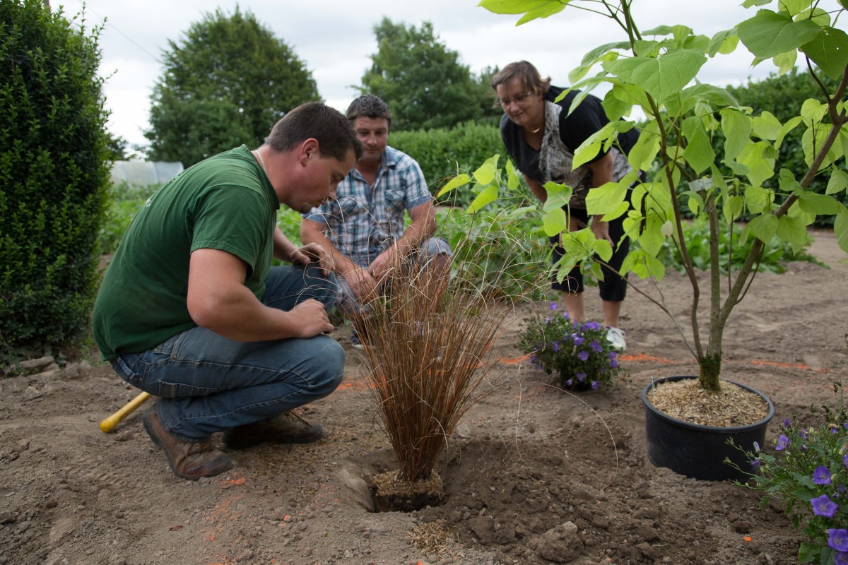 Création de jardin