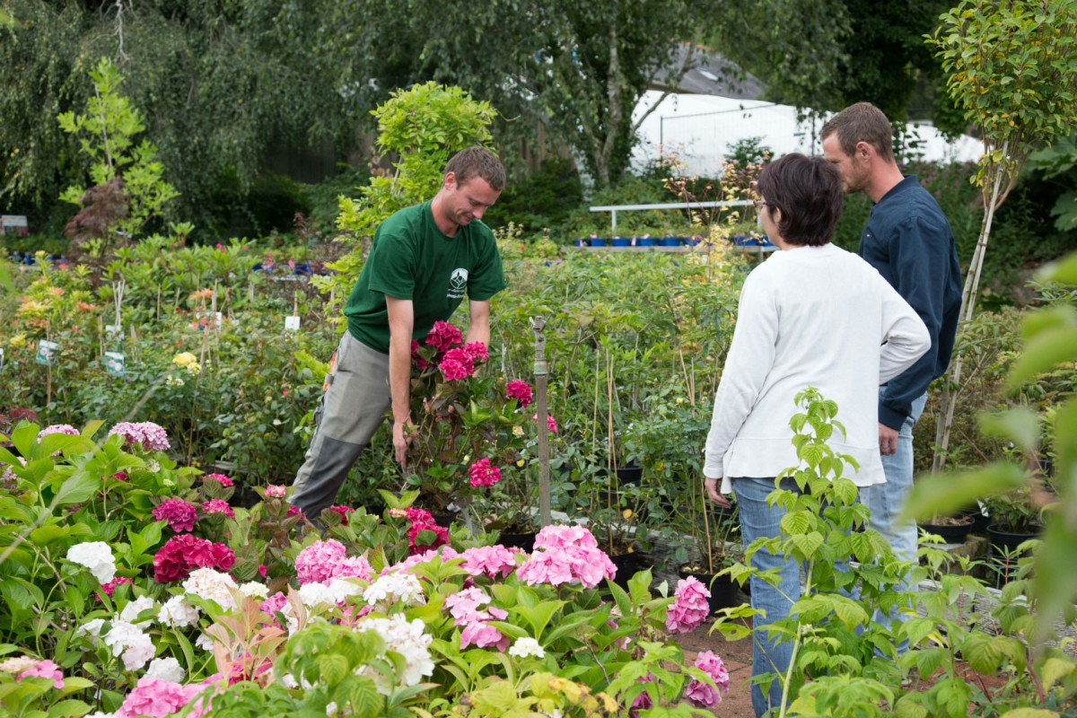 Création de jardin