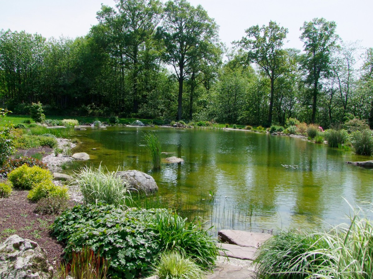 Piscine et bassin de baignade