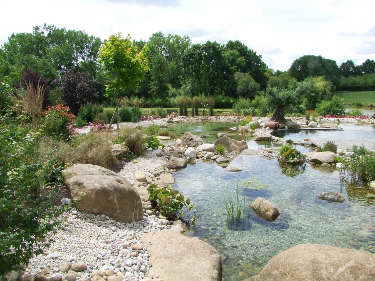 Piscine naturelle