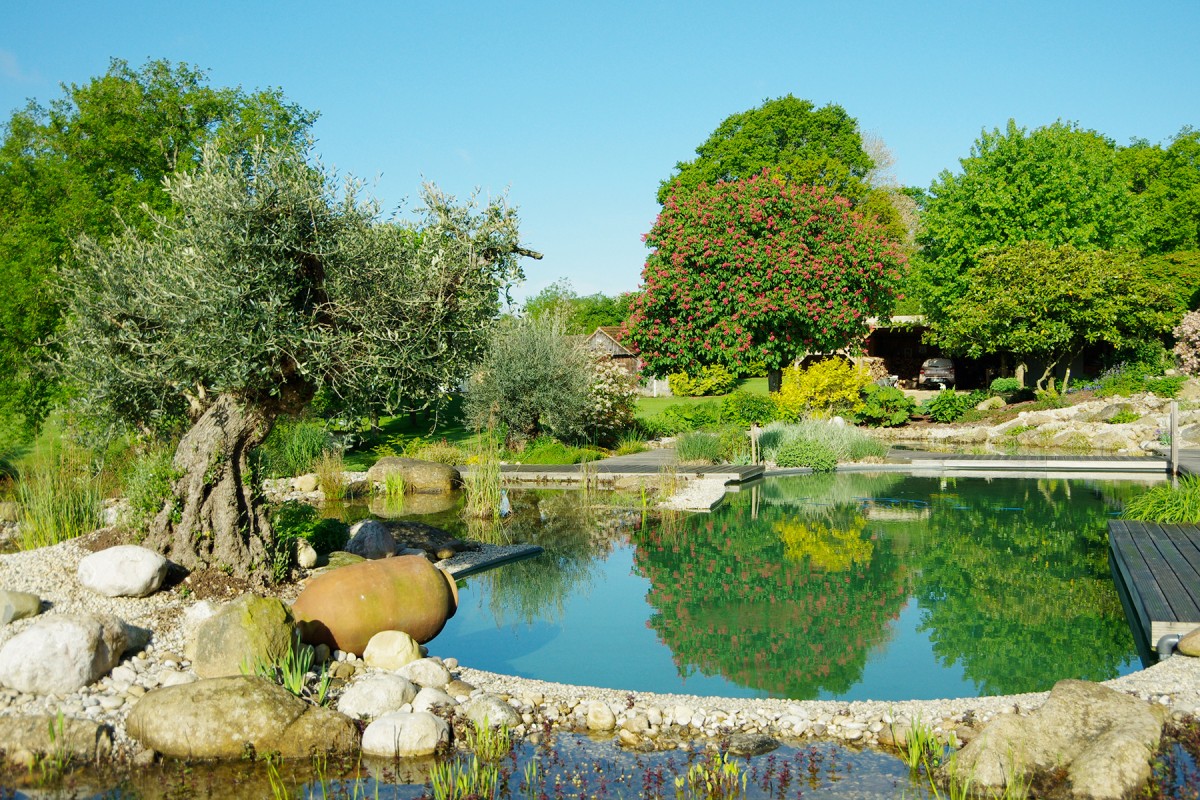 Piscine naturelle
