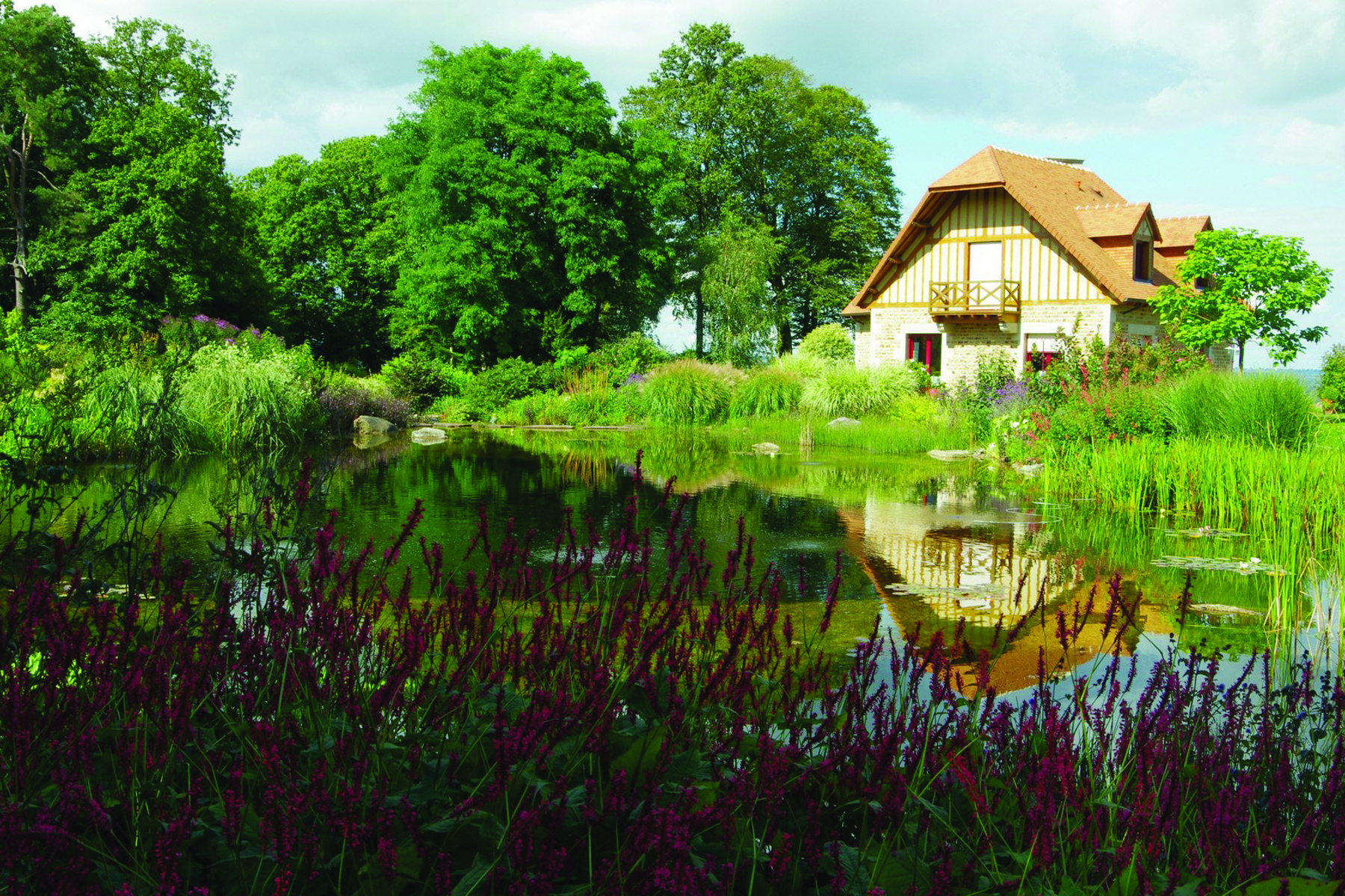 Bassin naturel - Bassin de jardin - bassin extérieur | Paysages Conseil