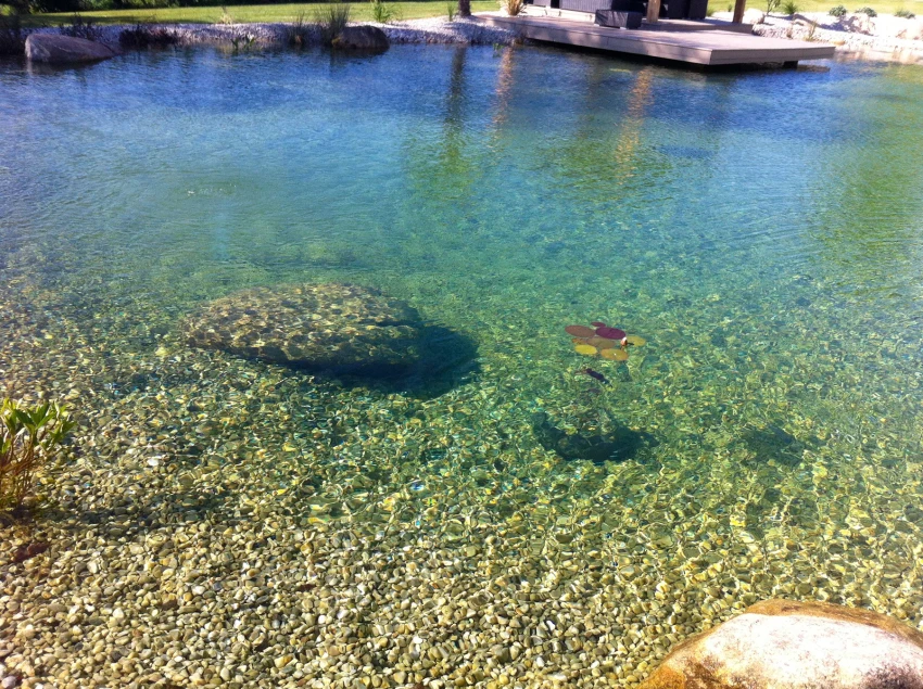 Bassin de jardin