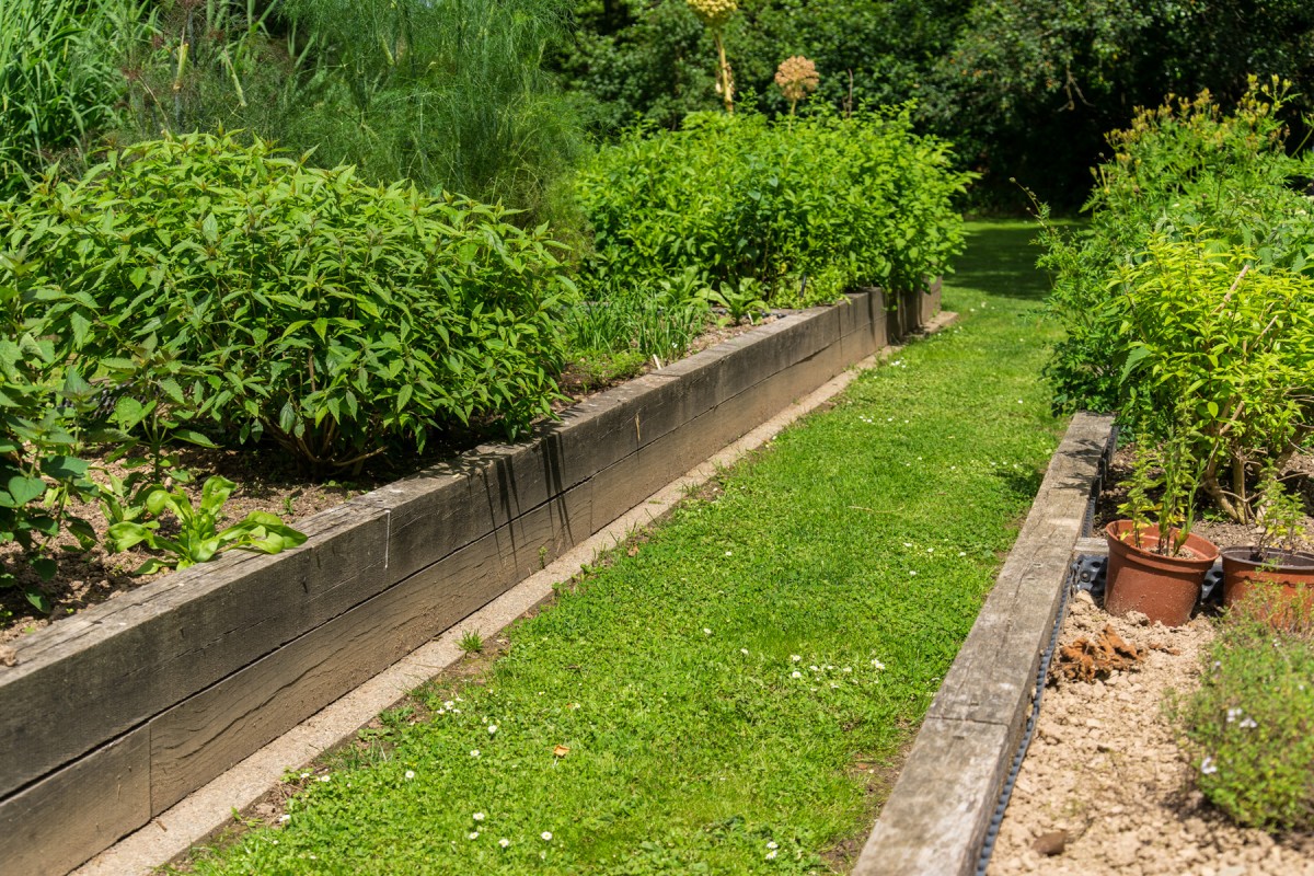 Carré potager
