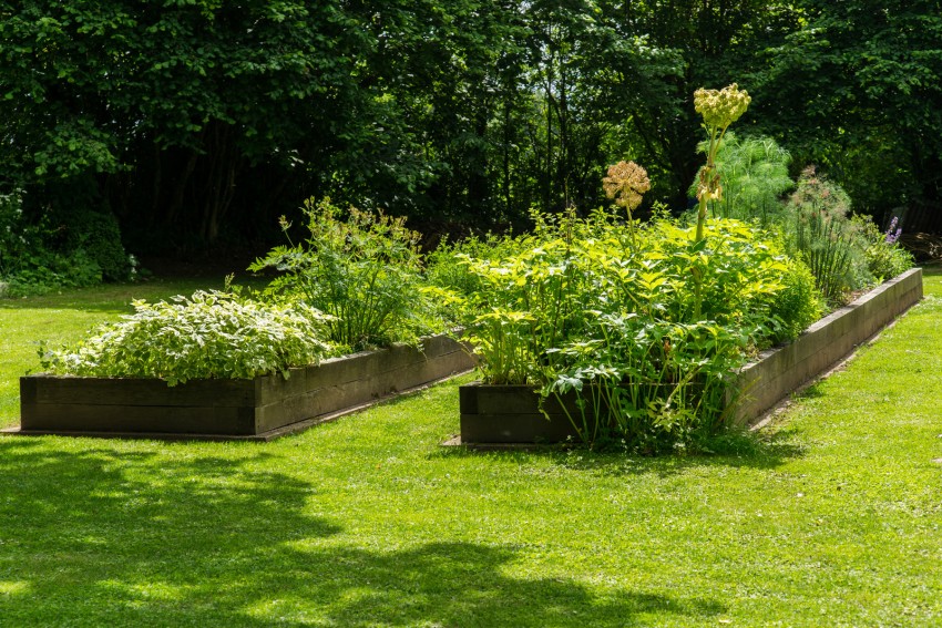 Que faire au potager ?