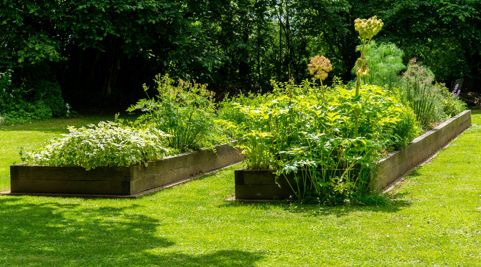 Entretien de potager
