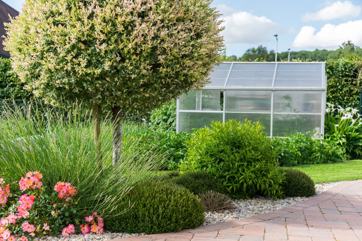 Serre de jardin