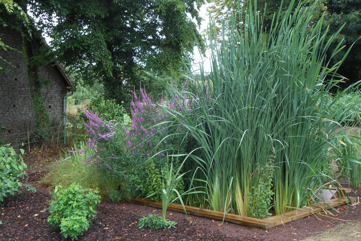 Assainissement naturel