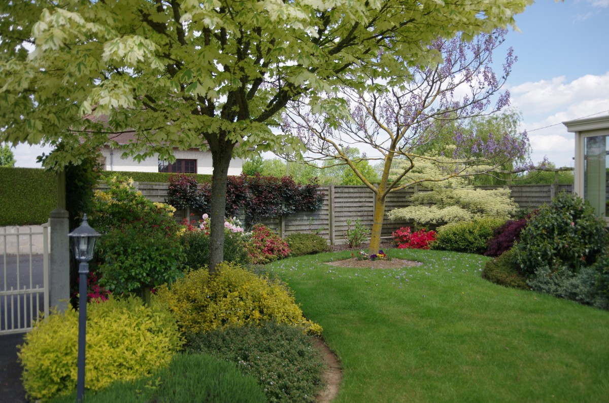 Plante pour le jardin