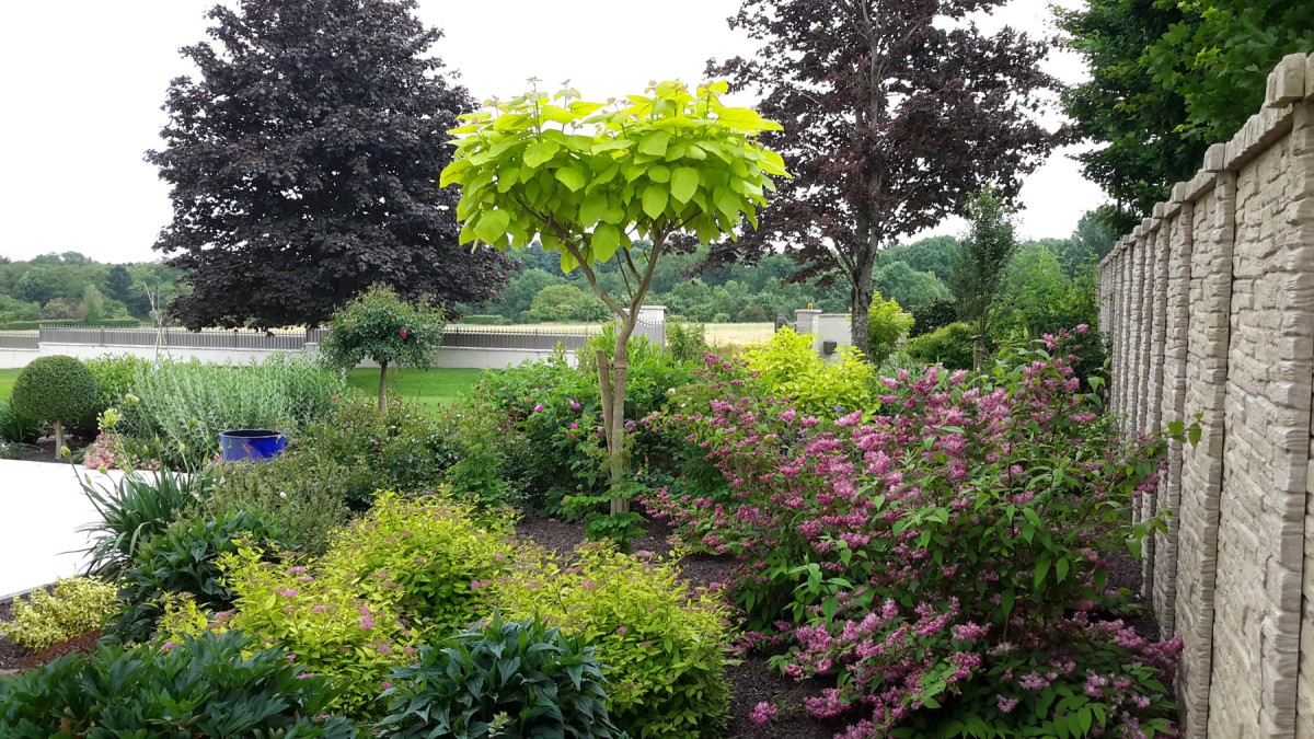 Le cahier de vacances du jardin