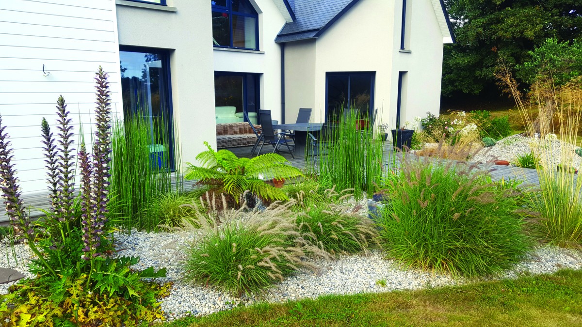 Plante pour le jardin