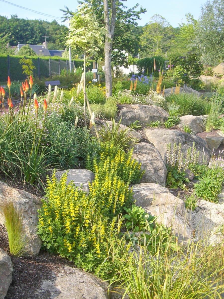 Rocaille de jardin