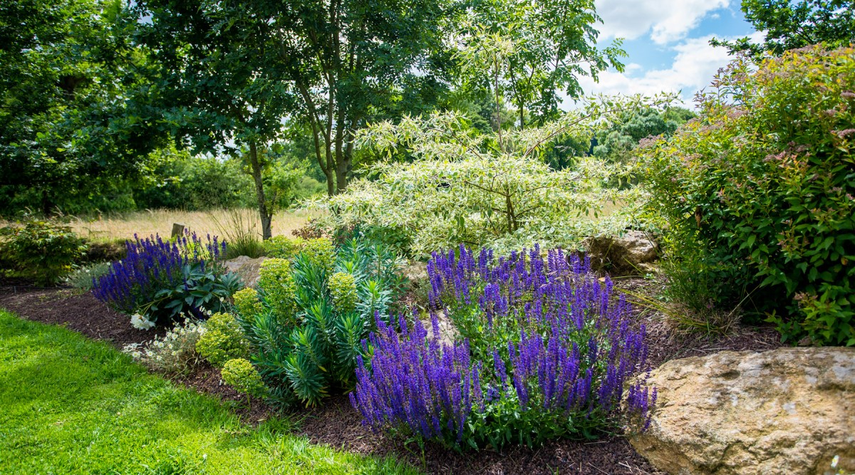Le cahier de vacances du jardin