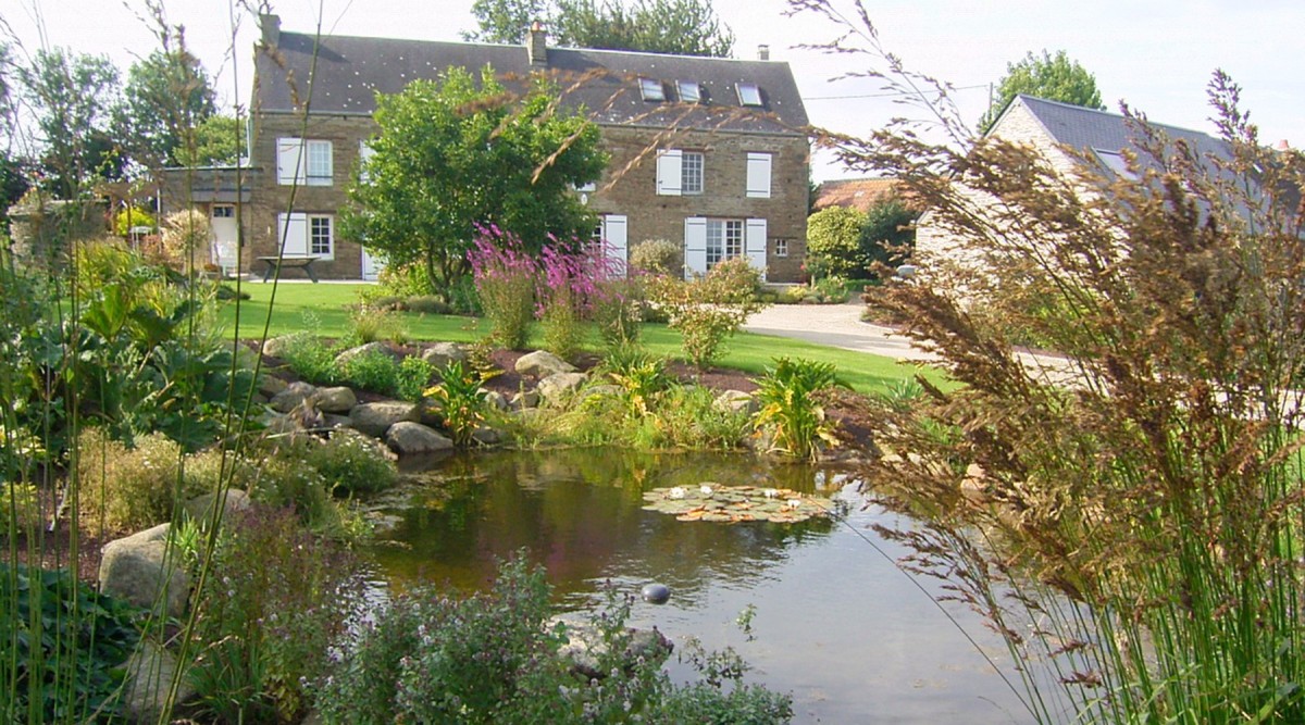 Bassin à poisson – koï