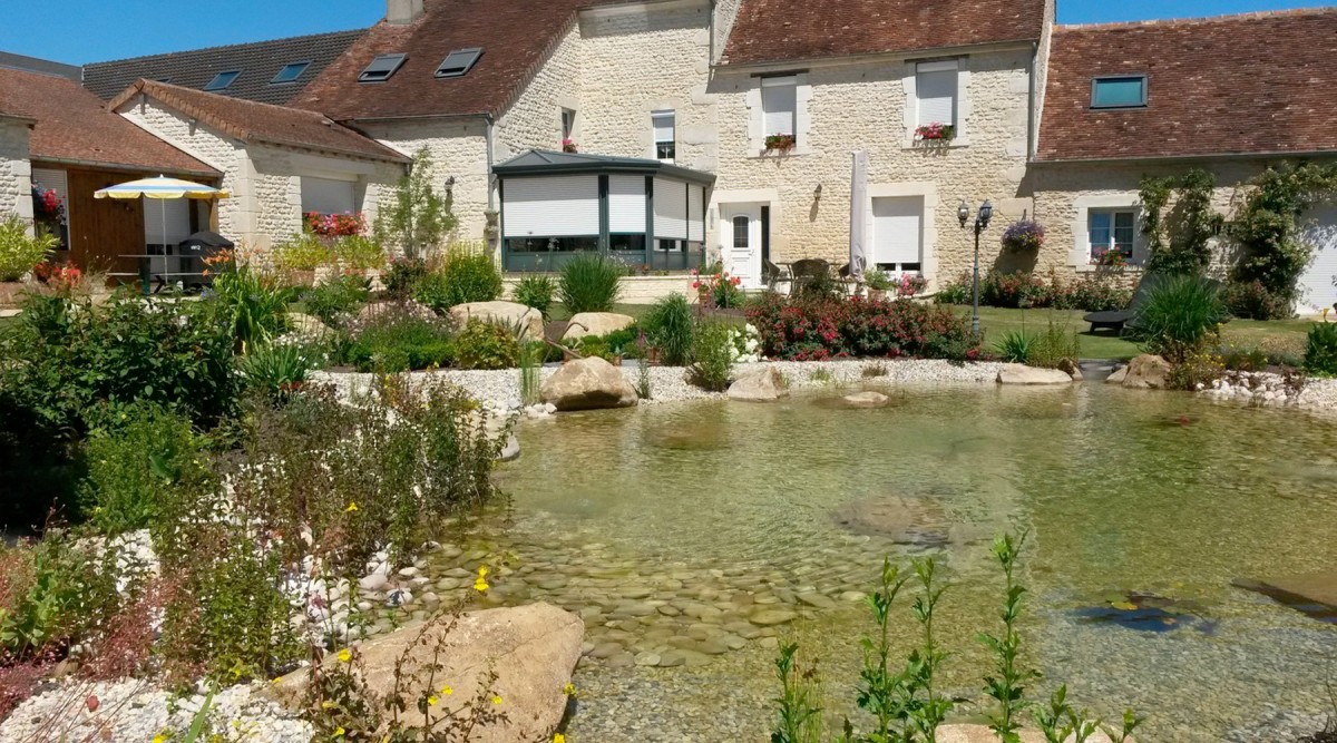 Bassin à poisson – koï