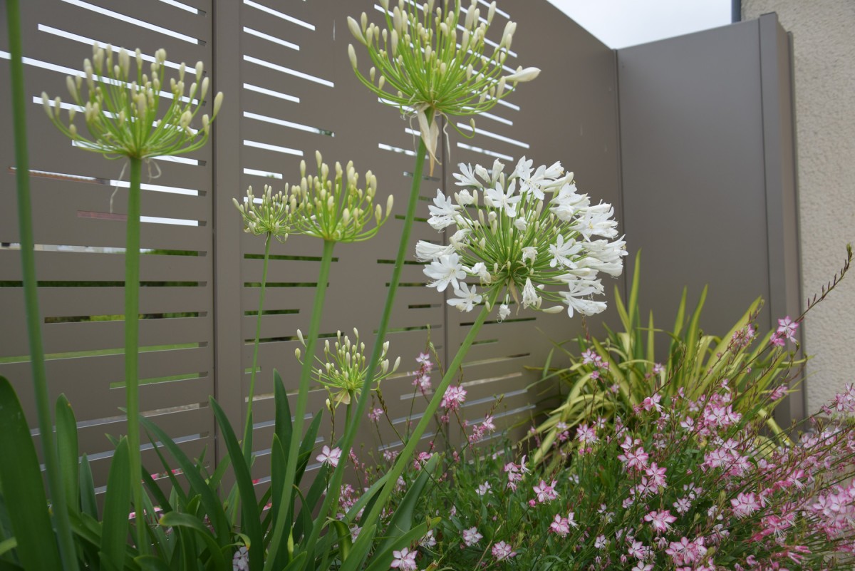 Clôture en aluminium