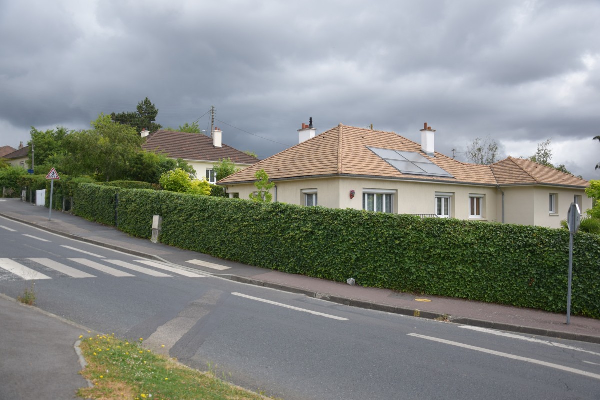 Clôture végétale