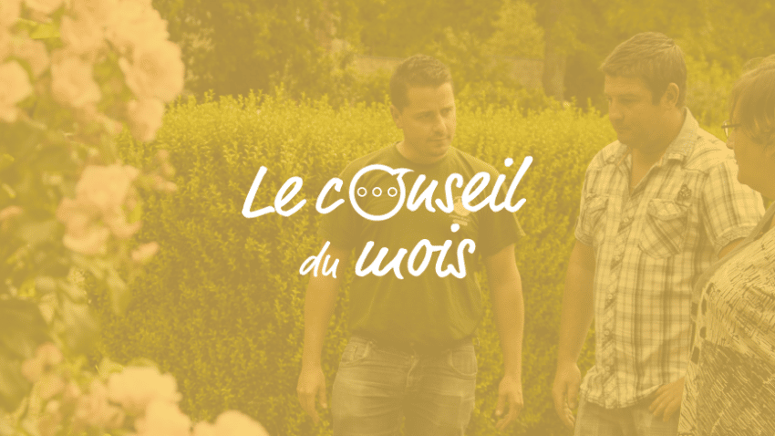 Le cahier de vacances du jardin