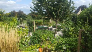 Aménagement de jardin à Goulet, Orne, réalisation Paysages Conseil