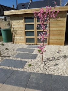 Un jardin de ville technique à Colleville-Montgomery, Calvados, réalisation Paysages Conseil