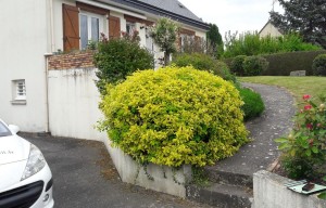 Une terrasse moderne à Vire, Calvados, réalisation Paysages Conseil