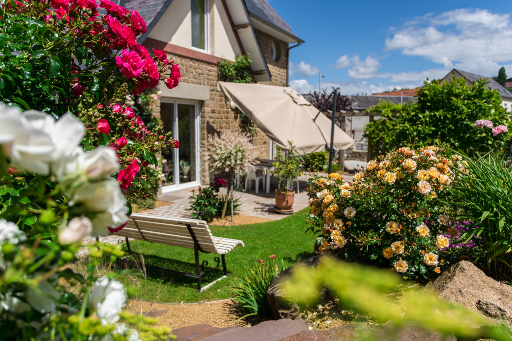 Aménagement de jardin naturel au coeur du centre ville de Vire, Calvados
