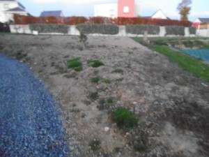 Jardin moderne et fonctionnel, Manche, réalisation Paysages Conseil