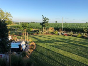 Un jardin de plaisir pour une utilisation de loisir, Calvados, réalisation Paysages Conseil
