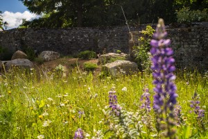 Aménagement extérieur champêtre, Orne, réalisation Paysages Conseil