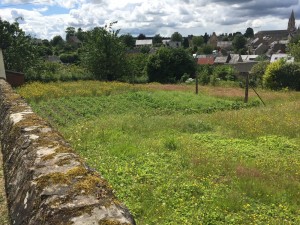 Aménagement extérieur champêtre, Orne, réalisation Paysages Conseil