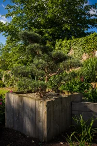 Un jardin naturellement simple, Orne, réalisation Paysages Conseil