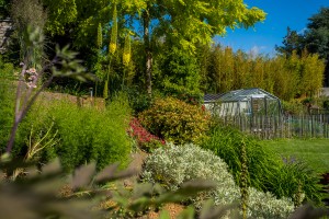 Un jardin naturellement simple, Orne, réalisation Paysages Conseil