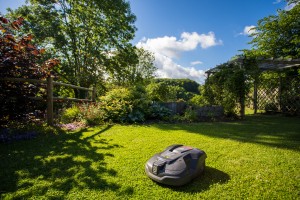 Un jardin naturellement simple, Orne, réalisation Paysages Conseil