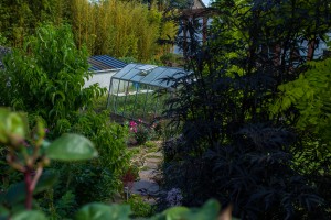 Un jardin naturellement simple, Orne, réalisation Paysages Conseil