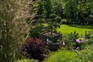 Un jardin naturellement simple, Orne, réalisation Paysages Conseil