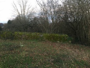 Un jardin naturellement simple, Orne, réalisation Paysages Conseil