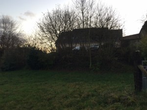Un jardin naturellement simple, Orne, réalisation Paysages Conseil
