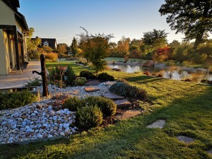 Aménagement d&rsquo;un bassin naturel, Orne, réalisation Paysages Conseil