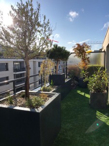 Une terrasse Caennaise pas comme les autres, Calvados, réalisation Paysages Conseil