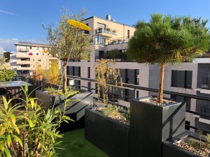 Une terrasse Caennaise pas comme les autres, Calvados, réalisation Paysages Conseil