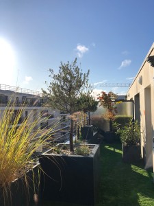 Une terrasse Caennaise pas comme les autres, Calvados, réalisation Paysages Conseil