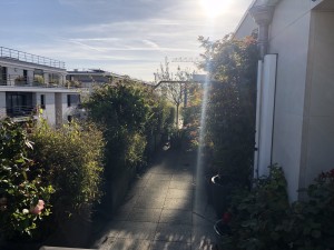 Une terrasse Caennaise pas comme les autres, Calvados, réalisation Paysages Conseil