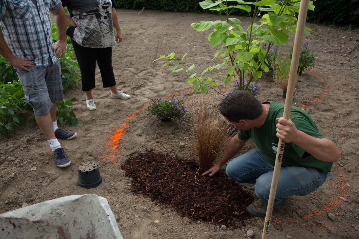 Le « Do It Yourself » du jardinier chez Paysages Conseil