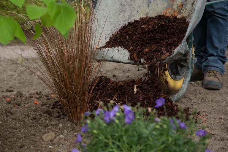Le « Do It Yourself » du jardinier chez Paysages Conseil