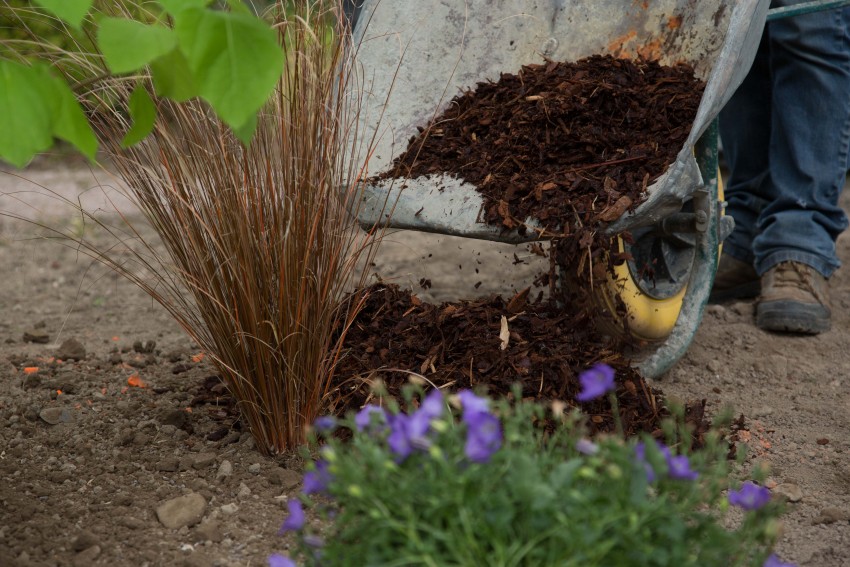 Le « Do It Yourself » du jardinier chez Paysages Conseil