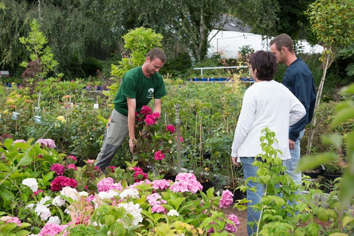 Le « Do It Yourself » du jardinier chez Paysages Conseil