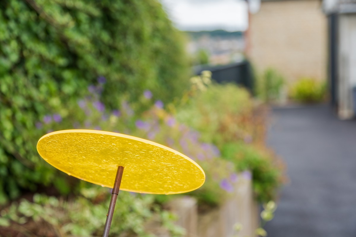 Accessoiriser sa terrasse