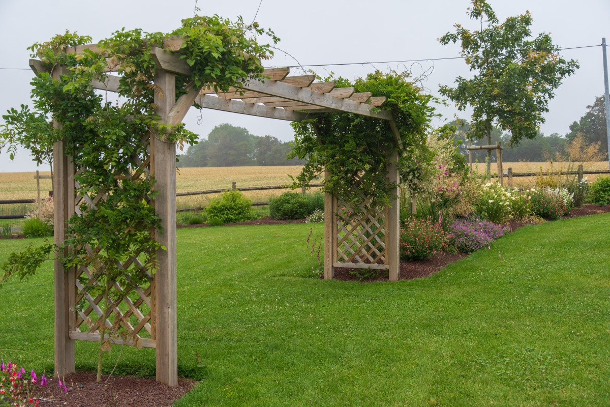 Pergolas en bois