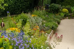 Comment créer de la biodiversité au jardin ?, réalisation Paysages Conseil